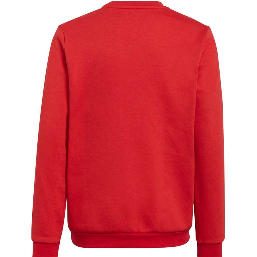 Kinder Adidas Sweatshirts | Adidas Kinder Sweatshirt Entrada 22 Rot