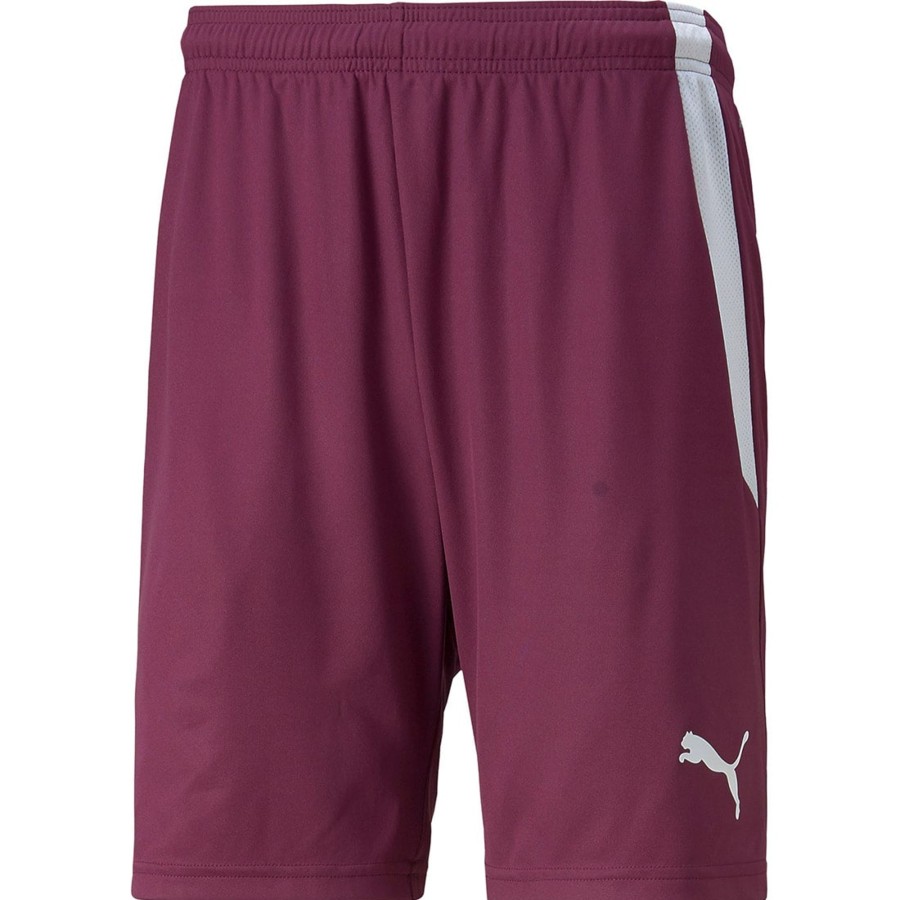 Herren Puma Shorts | Puma Herren Shorts Teamliga Rot-Weis