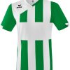 Herren Erima Trikots | Erima Siena 3.0 Trikot Smaragd-Weis