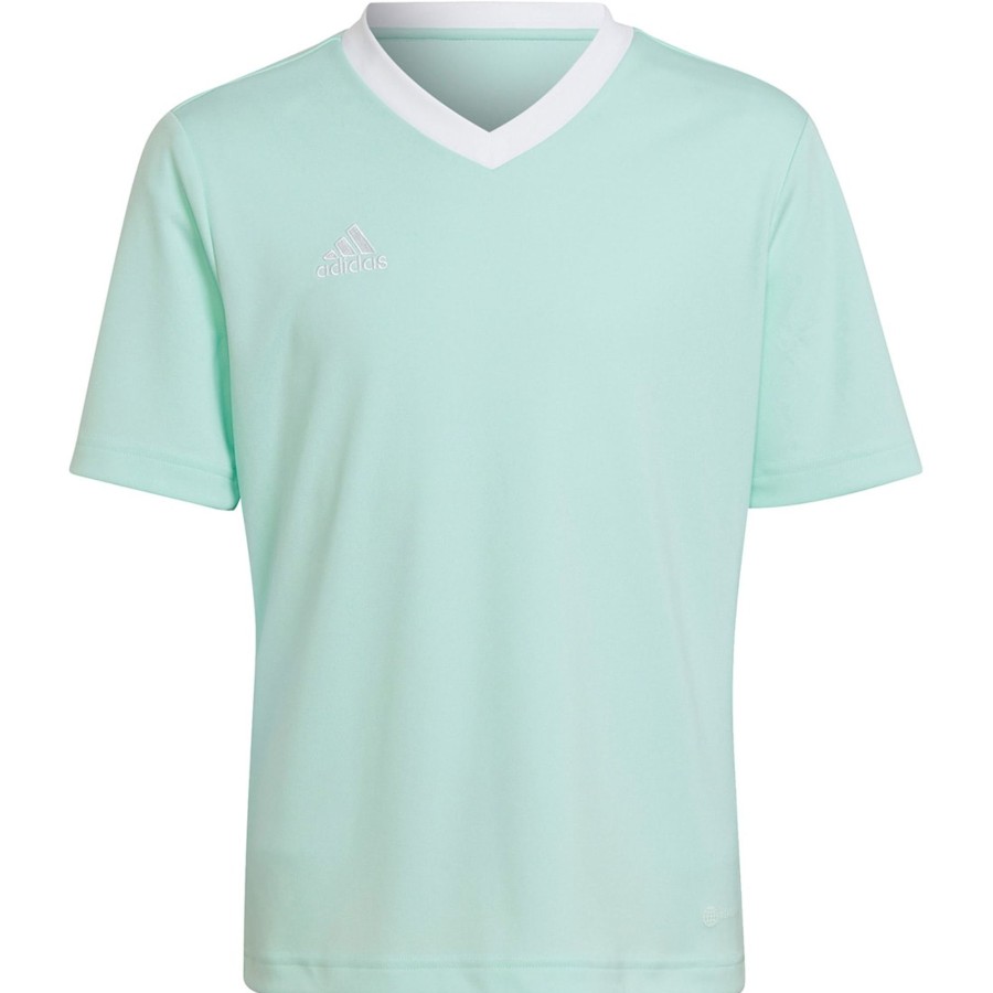 Kinder Adidas Trikots | Adidas Kinder Trikot Entrada 22 Turkis