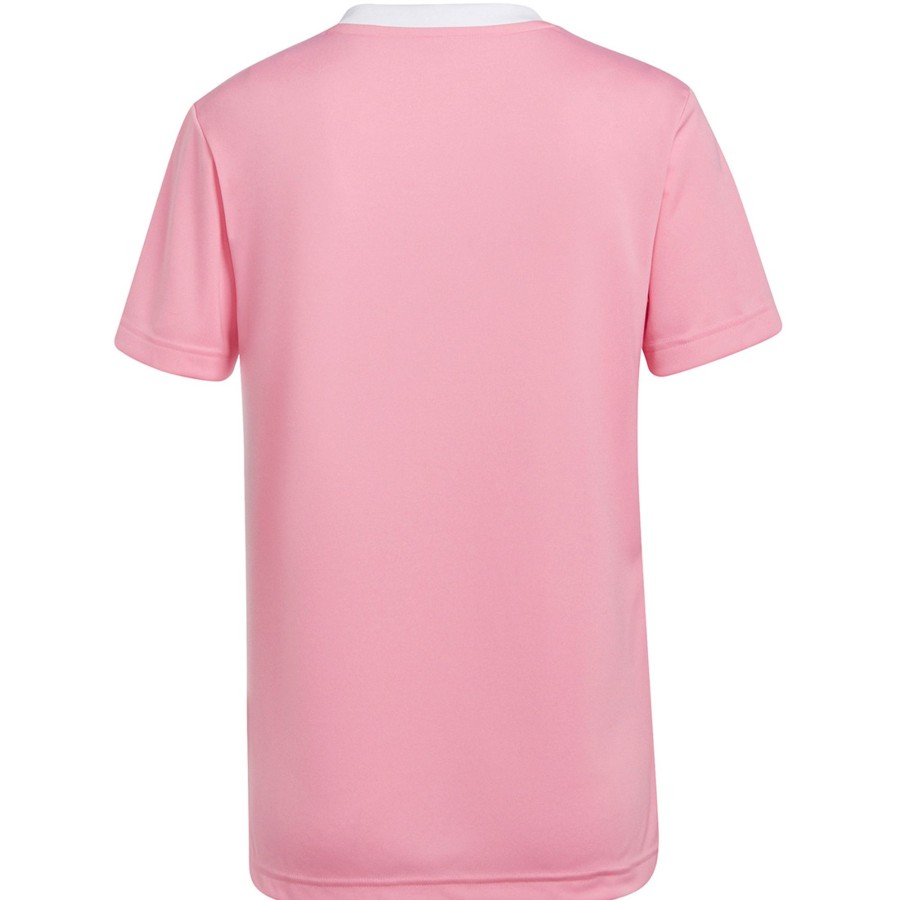 Damen Adidas Trikots | Adidas Damen Trikot Entrada 22 Rosa