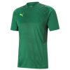 Herren Puma Trikots | Puma Training Trikot Teamcup Grun