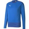 Herren Puma Sweatshirts | Puma Training Sweatshirt Teamgoal 23 Blau