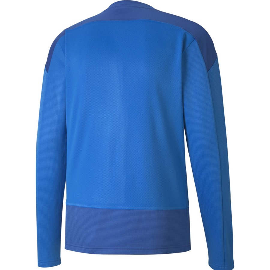 Herren Puma Sweatshirts | Puma Training Sweatshirt Teamgoal 23 Blau