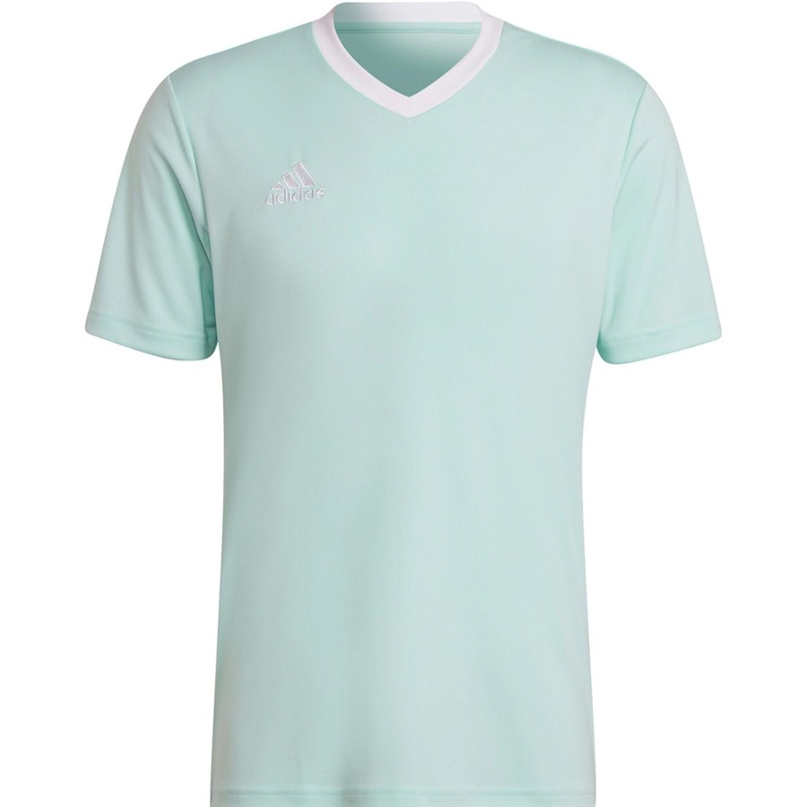 Herren Adidas Trikots | Adidas Herren Trikot Entrada 22 Turkis