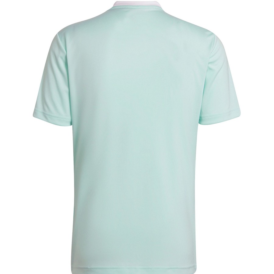 Herren Adidas Trikots | Adidas Herren Trikot Entrada 22 Turkis