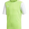 Kinder Adidas Trikots | Adidas Kinder Trikot Estro 19 Grun-Weis