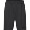 Herren Jako Shorts | Jako Herren Sporthose World Grau