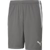 Herren Puma Shorts | Puma Herren Shorts Teamliga Grau-Weis