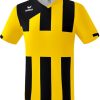 Herren Erima Trikots | Erima Siena 3.0 Trikot Gelb-Schwarz