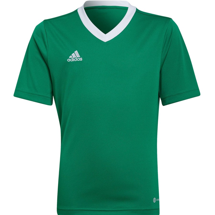 Kinder Adidas Trikots | Adidas Kinder Trikot Entrada 22 Grun-Weis