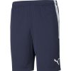 Herren Puma Shorts | Puma Training Shorts Teamliga Blau-Weis