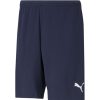 Herren Puma Shorts | Puma Shorts Teamrise Blau-Weis