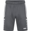 Kinder Jako Shorts | Jako Kinder Trainingsshorts Allround Grau