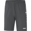 Herren Jako Shorts | Jako Trainingsshorts Premium Grau