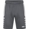 Herren Jako Shorts | Jako Herren Trainingsshorts Allround Grau