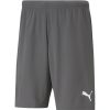 Herren Puma Shorts | Puma Shorts Teamrise Grau-Weis