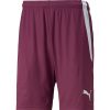 Kinder Puma Shorts | Puma Kinder Shorts Teamliga Rot-Weis