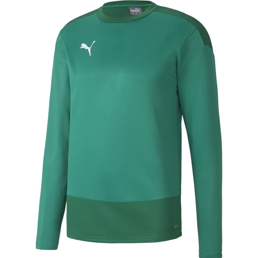 Herren Puma Sweatshirts | Puma Training Sweatshirt Teamgoal 23 Grun