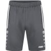 Damen Jako Shorts | Jako Damen Trainingsshorts Allround Grau