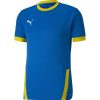 Herren Puma Trikots | Puma Trikot Teamgoal 23 Blau-Gelb