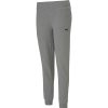 Damen Puma Trainingshosen | Puma Damen Pants Teamgoal 23 Casuals Grau