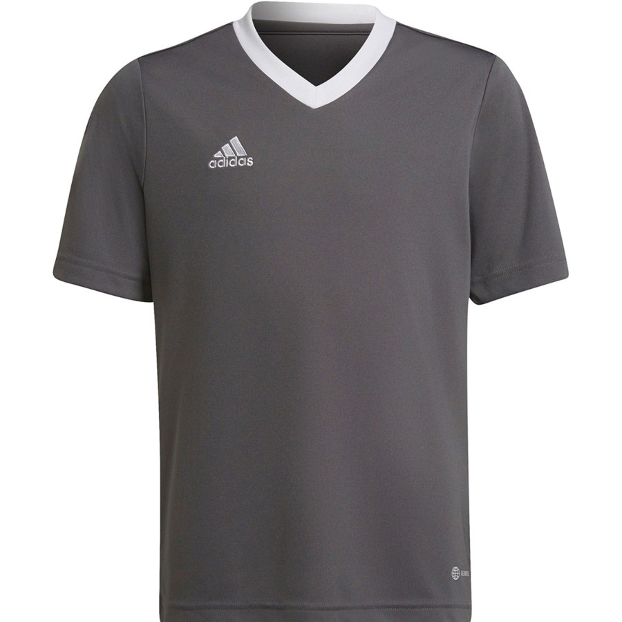 Kinder Adidas Trikots | Adidas Kinder Trikot Entrada 22 Grau