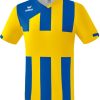 Herren Erima Trikots | Erima Siena 3.0 Trikot Gelb-New Royal