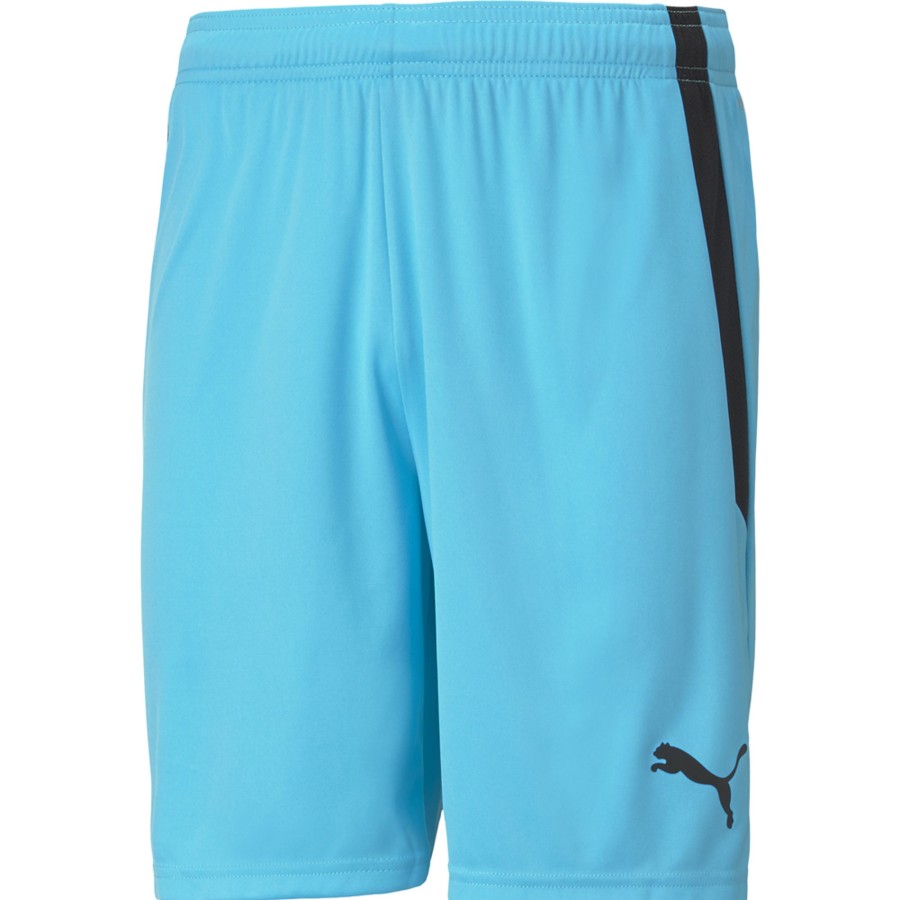 Herren Puma Shorts | Puma Herren Shorts Teamliga Blau-Schwarz