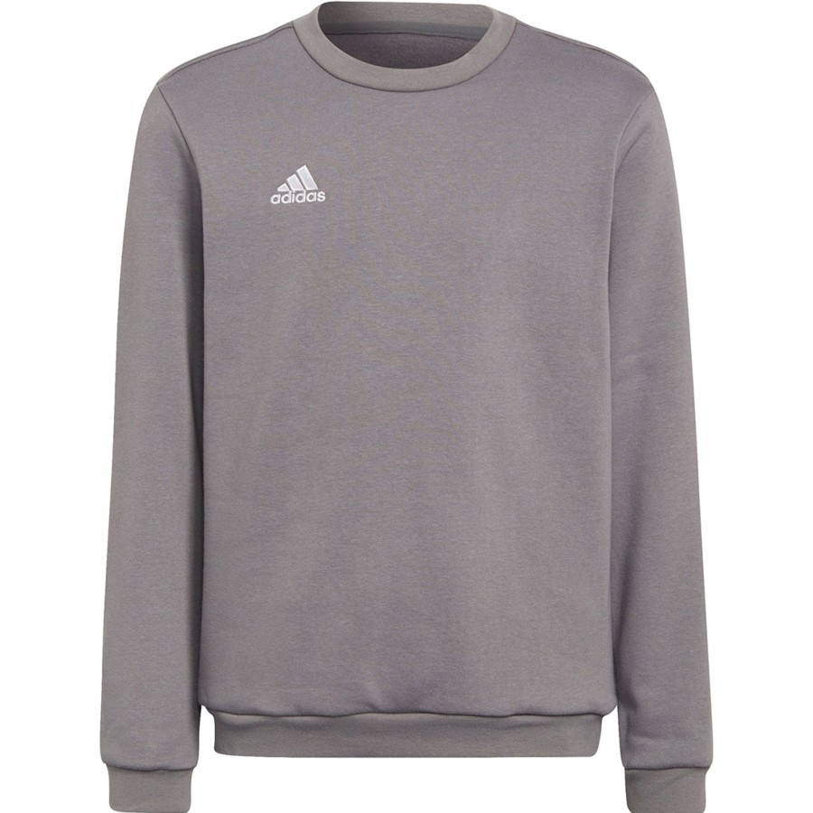 Kinder Adidas Sweatshirts | Adidas Kinder Sweatshirt Entrada 22 Grau