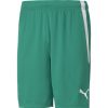 Herren Puma Shorts | Puma Herren Shorts Teamliga Grun-Weis