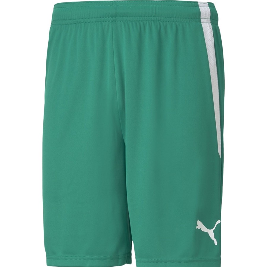 Herren Puma Shorts | Puma Herren Shorts Teamliga Grun-Weis