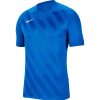 Kinder Nike Trikots | Nike Kinder Kurzarm Trikot Challenge Iii Blau