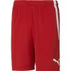 Herren Puma Shorts | Puma Herren Shorts Teamliga Rot-Weis