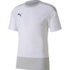 Herren Puma Trikots | Puma Training Trikot Teamgoal 23 Weis-Grau