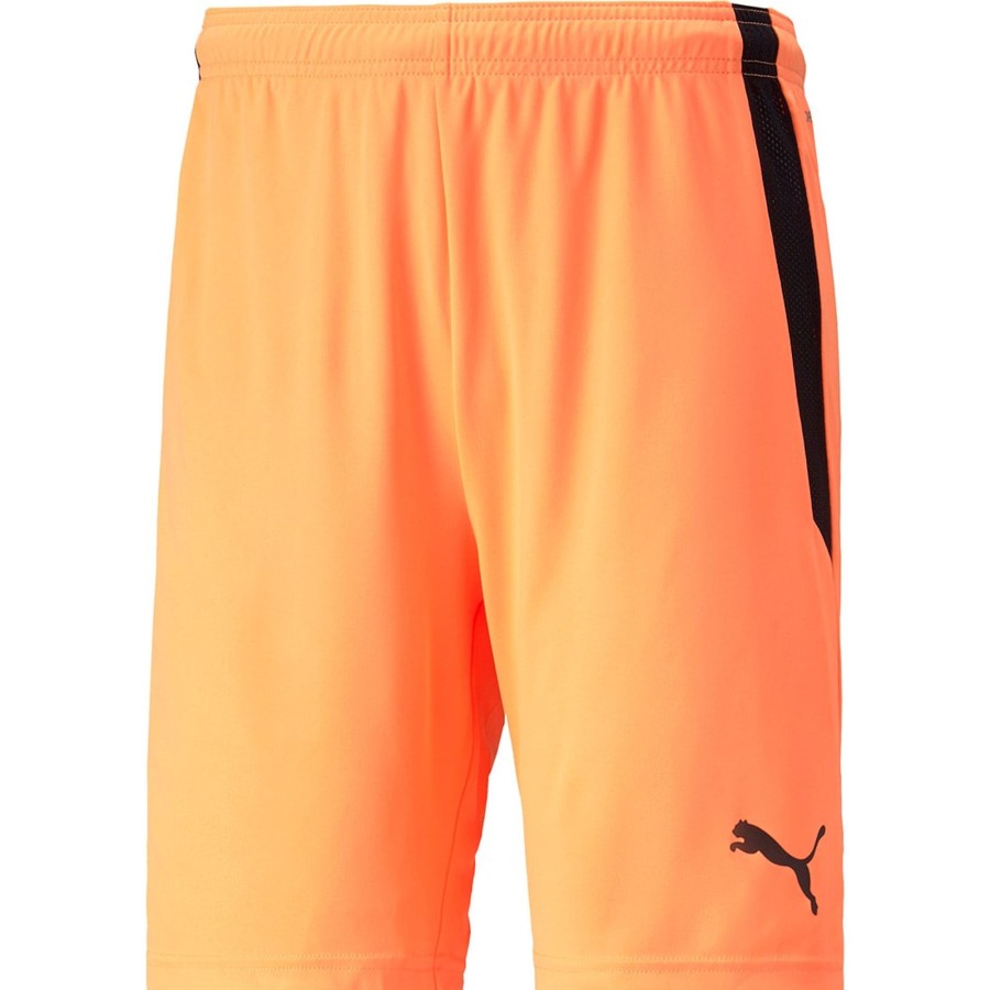 Herren Puma Shorts | Puma Herren Shorts Teamliga Orange-Schwarz