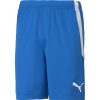 Herren Puma Shorts | Puma Herren Shorts Teamliga Blau-Schwarz