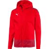 Herren Puma Jacken | Puma Training Regenjacke Teamgoal 23 Rot