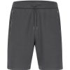 Herren Jako Shorts | Jako Herren Short Pro Casual Aschgrau