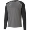 Kinder Puma Sweatshirts | Puma Kinder Training Sweatshirt Teamliga Grau-Schwarz