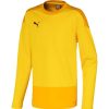 Kinder Puma Sweatshirts | Puma Kinder Training Sweatshirt Teamgoal 23 Gelb