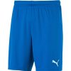 Herren Puma Shorts | Puma Knit Shorts Teamgoal 23 Blau