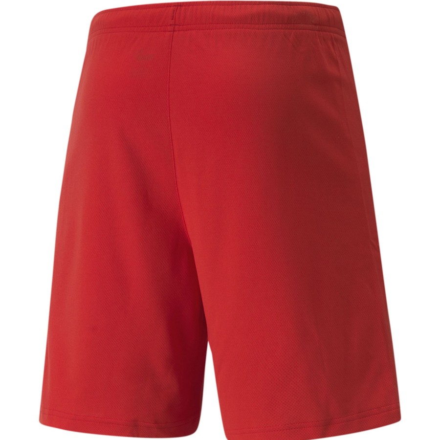 Herren Puma Shorts | Puma Shorts Teamrise Rot-Weis