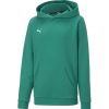 Kinder Puma Hoodies | Puma Kinder Hoodie Teamgoal 23 Casuals Grun