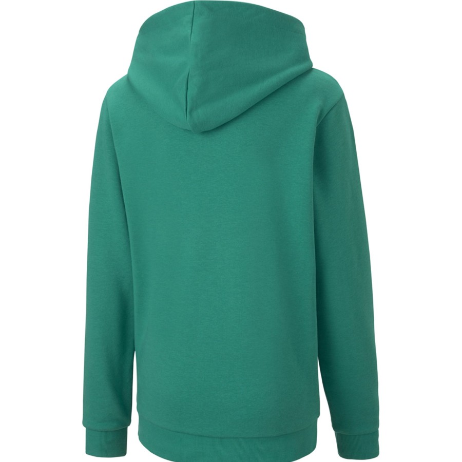 Kinder Puma Hoodies | Puma Kinder Hoodie Teamgoal 23 Casuals Grun