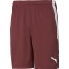 Kinder Puma Shorts | Puma Kinder Shorts Teamliga Rot-Weis