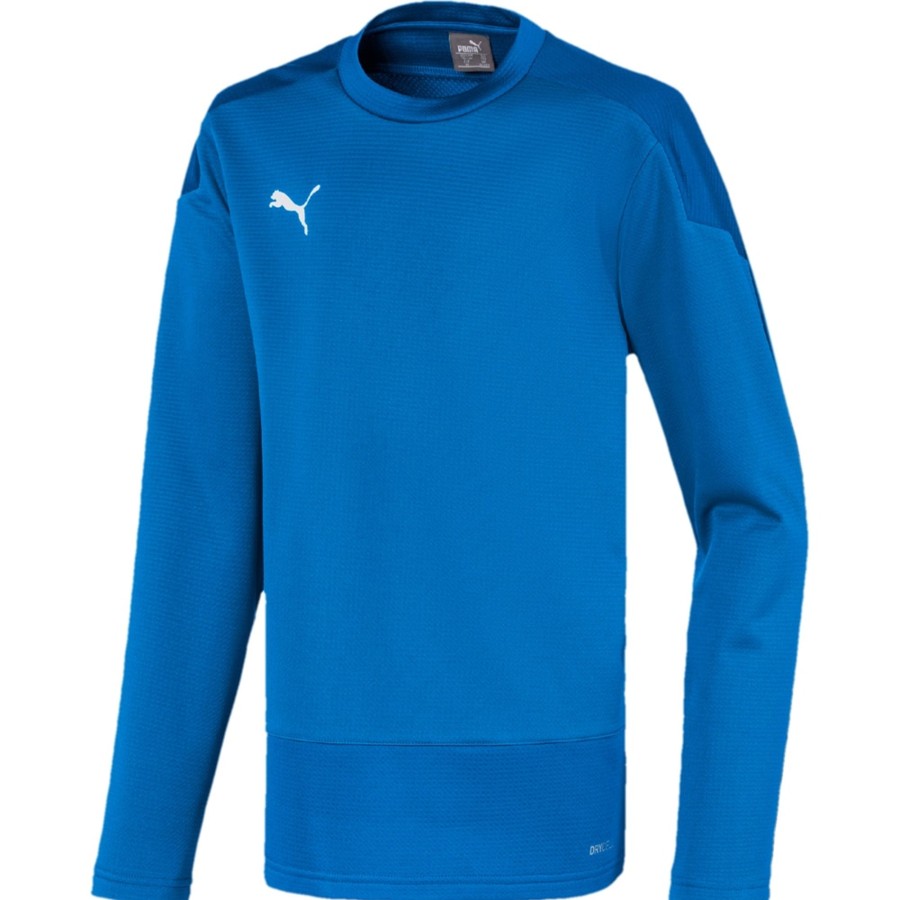 Kinder Puma Sweatshirts | Puma Kinder Training Sweatshirt Teamgoal 23 Blau