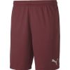 Herren Puma Shorts | Puma Knit Shorts Teamgoal 23 Rot