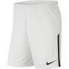 Herren Nike Shorts | Nike Gardien Iii League Knit Ii Shorts Weis-Schwarz