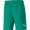 Herren Puma Shorts | Puma Shorts Teamfinal Grun